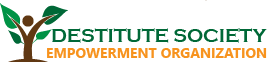 DESTITUTE SOCIETY EMPOWERMENT ORGANIZATION (DSEO)